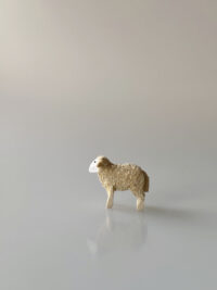Schaf klein stehend